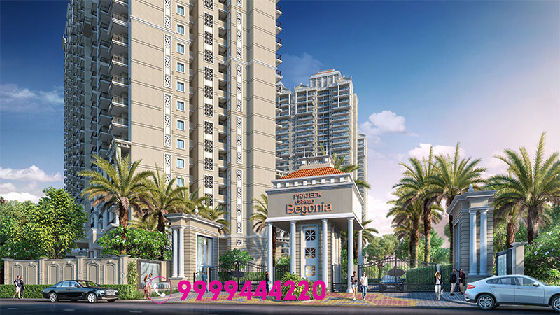 Prateek Grand Begonia