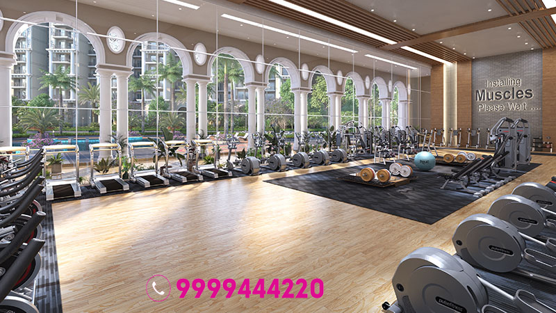 Prateek Grand Begonia