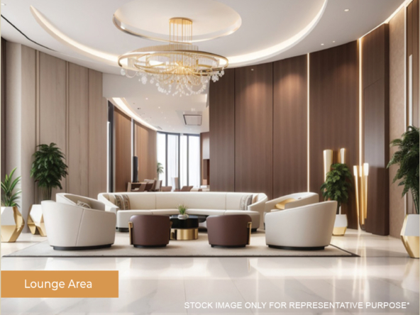 ace-the-nest-Amentieis-1