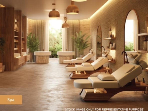 ace-the-nest-Amentieis-2