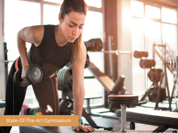 ace-the-nest-Amentieis-3