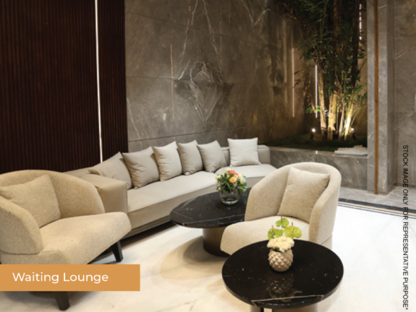 ace-the-nest-Amentieis-6