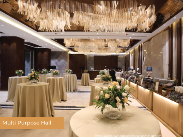 ace-the-nest-Amentieis-7