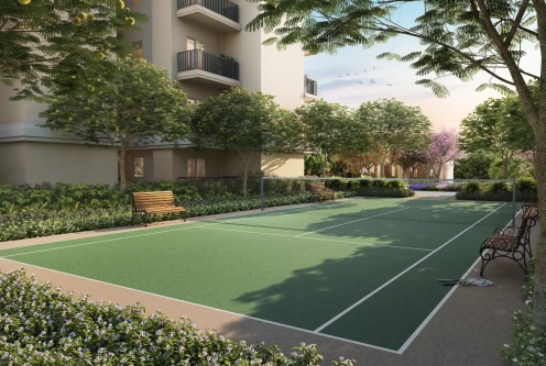 Ace Edit Commercial Project