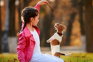 neoliv-khopoli-plots-pet-park